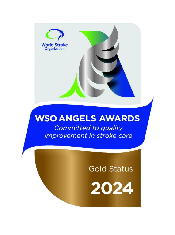 World Stroke Organisation (WSO) Angels Awards 2024 - Gold Award